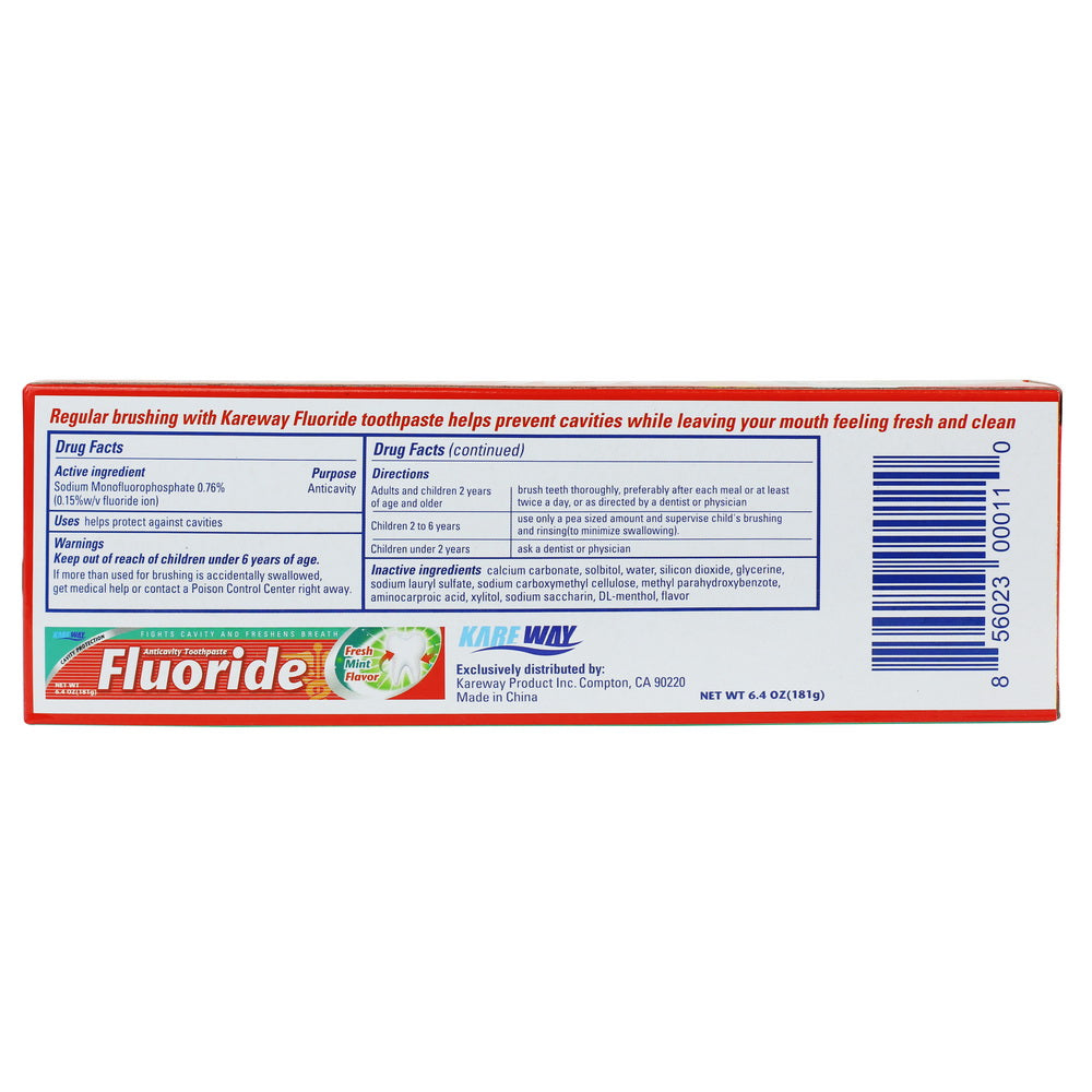 Pure-Aid Fresh Mint Flavor Fluoride Toothpaste