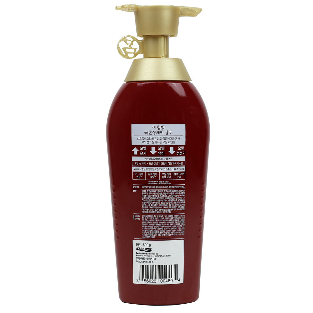 Ryo Damage Care Shampoo